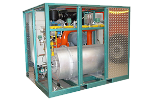 Парогенераторы STM – steam energy